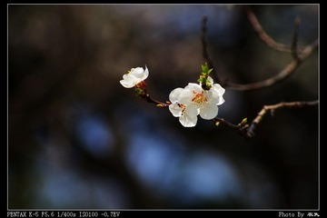 PX_54209.jpg