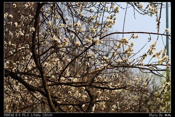 PX_54224.jpg