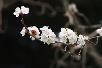 PX_54205.JPG