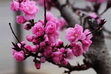PX_54348.jpg