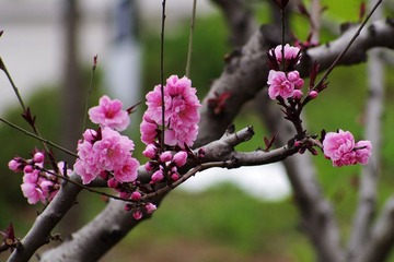 PX_54365.jpg