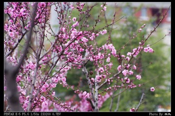 PX_54368.jpg