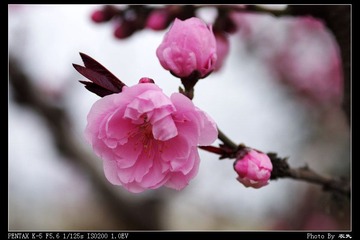PX_54358.jpg