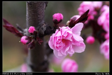 PX_54354.jpg