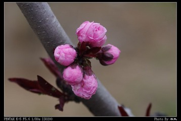 PX_54343.jpg