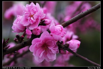 PX_54337.jpg