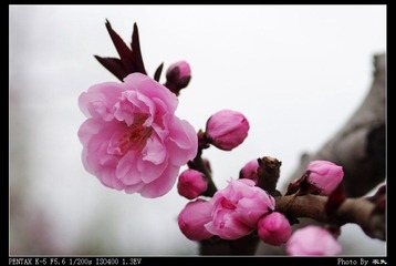PX_54335.jpg