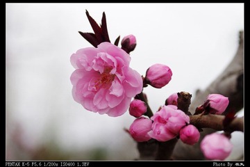 PX_54334.jpg