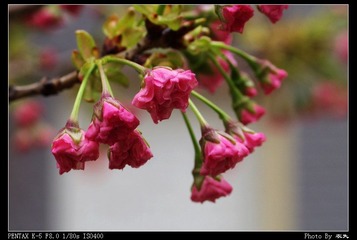 PX_54331.jpg