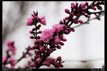 PX_54366.jpg