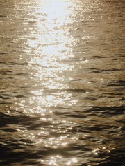 F6159B84-F416-4145-B67B-68B702AF1CC4/L0/001