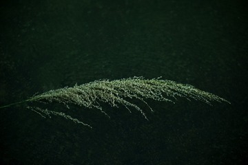 13D48E92-F56F-4245-8C95-4FD8C8B91ADA/L0/001