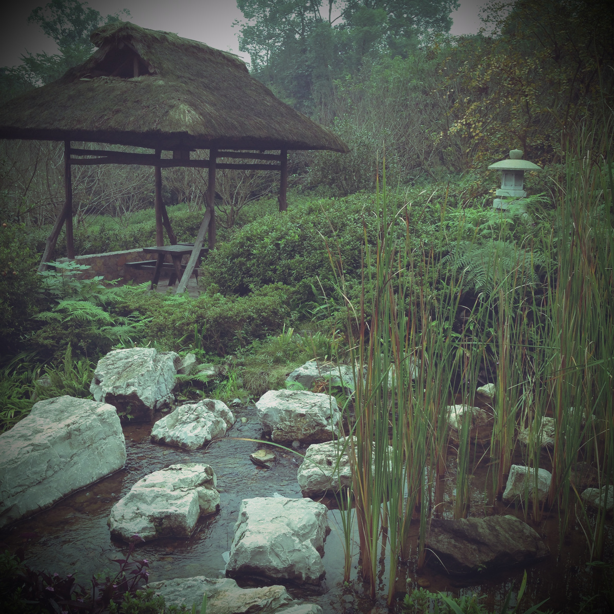 重庆西池度假村