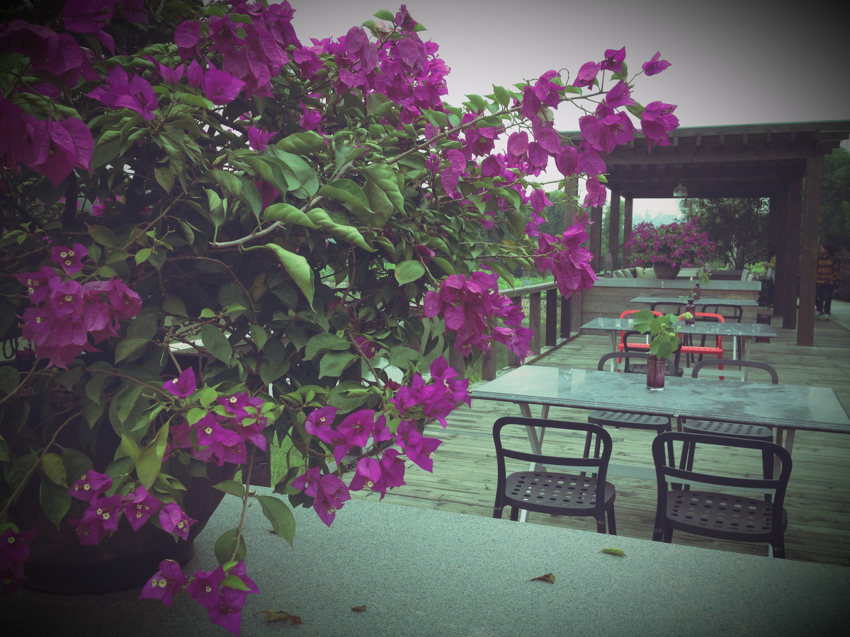 重庆西池度假村