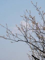 3B21F906-B155-43B4-83B1-3727EDA98E34/L0/001