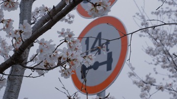 24B3EAF1-51B4-4419-AAE7-DDB4E6BD79E3/L0/001