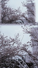 0688AA13-6F27-4DC5-A95A-E1AFF0AEC3EF/L0/001