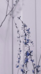 D854C4B4-E1EA-4BA5-9654-AC3C544D8C16/L0/001