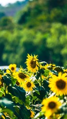 1BF9F3D3-9300-448D-853F-4279A71EE8AE/L0/001
