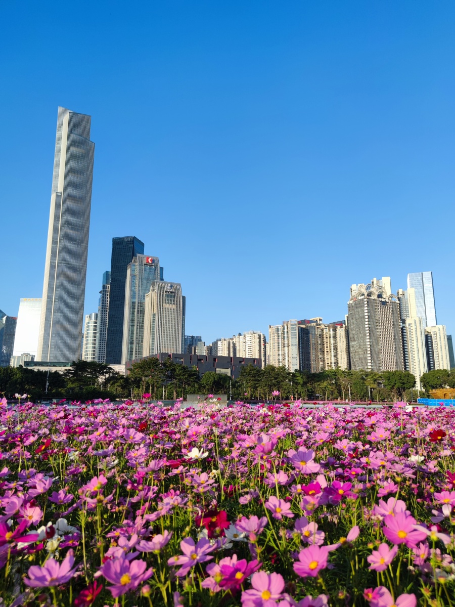 城市风光广州花城汇