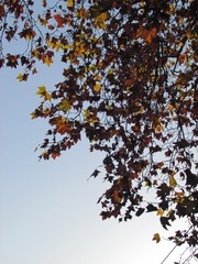 2AE8A5B9-9609-4E52-848C-9E137B0753D3/L0/001
