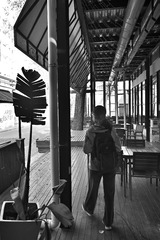 _N854522_00001