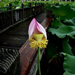 _DSC9107_00001