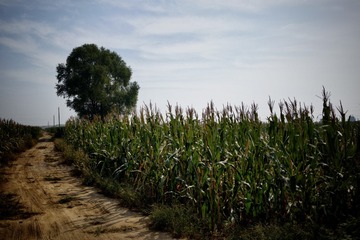 09294825-E322-4163-AC9F-0EA1554473CC/L0/001