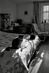 14DC60E3-3657-45BD-848C-1DC79F227E21/L0/001
