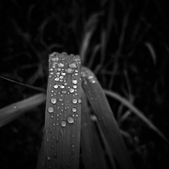 89B5957C-2F67-4305-B801-2E11578FC8C7/L0/001