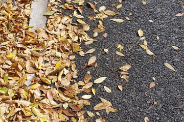 IMGP0991.JPG