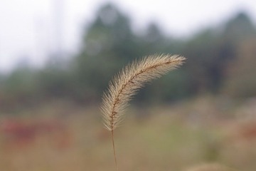 IMGP1528.JPG