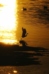 9F05B3CE-B88E-4A9F-8EB2-F253E9F8799B/L0/001