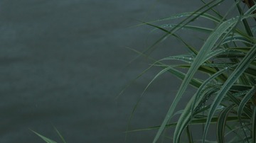 A8729469-47EC-4147-A3A9-891CF00AF666/L0/001