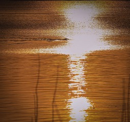 7B0992CD-5F21-4A1C-AF74-F3D73A04DDD3/L0/001