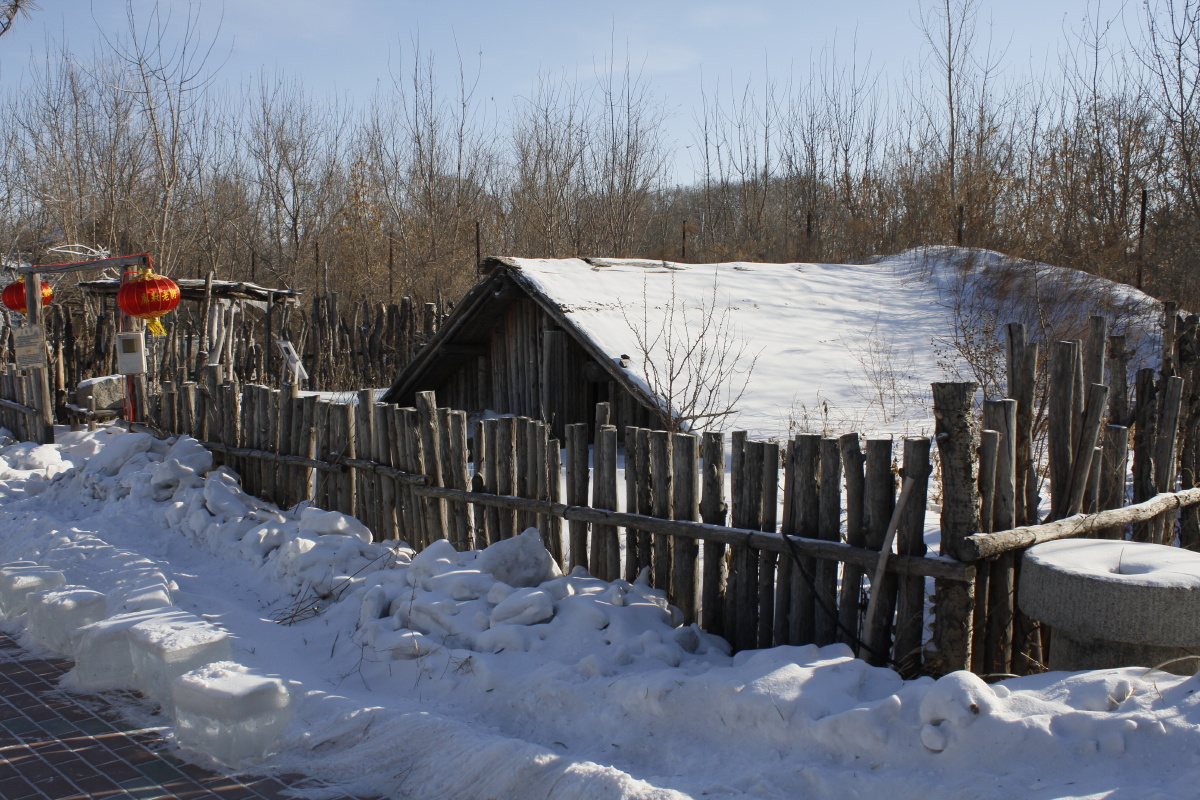 东北冬天的院子