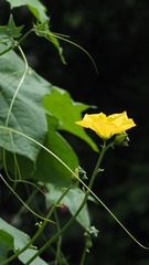 7CB68942-A5EF-41DE-B901-99D81359E9AA/L0/001