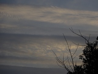 0A3C2A7D-DD2B-42B6-A21D-3B72FFE50A05/L0/001