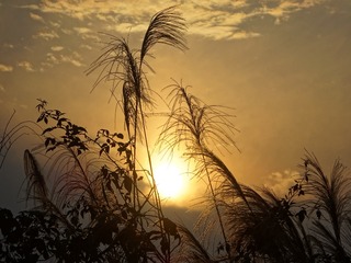 23EB6C36-8299-429B-B0C8-B0B42F4D71F2