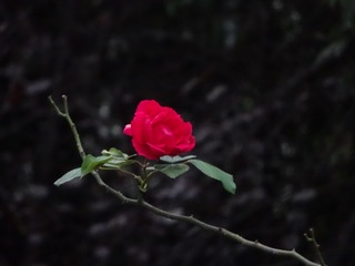 44E91448-2C3A-40E7-A0D6-B2F8F99F9F71