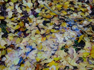6BD16875-E045-4449-A489-226C624242A6/L0/001