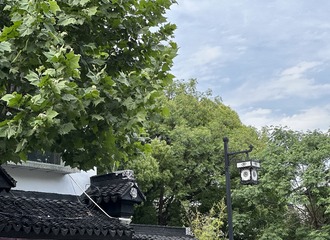 92279565-5F62-4E1A-8EC4-E23637604227/L0/001