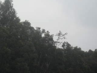 B2A5557E-1EAE-45E2-89C6-939EA842398E/L0/001