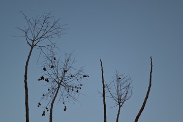 6A194EC0-83F7-4C58-9CC0-2BF945DCD69B/L0/001