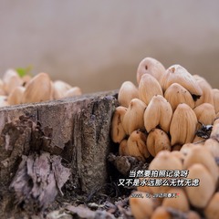 7F186455-583C-463E-AFA5-A8D2259E4ED0/L0/001