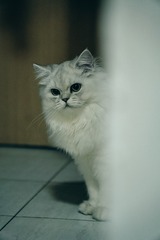 107570