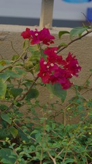 1385C0ED-2A94-4138-974D-FE7B6EE5971A/L0/001