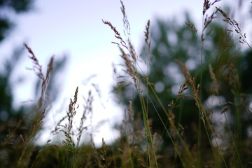DSC00035
