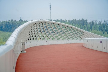 536299