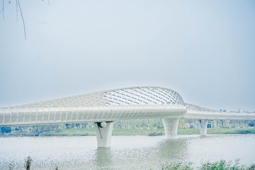536253